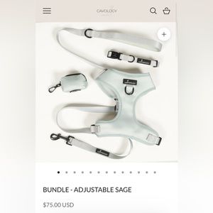 Cavology Sage Adjustable Harness, Leash, and Waste Bag Holder Set